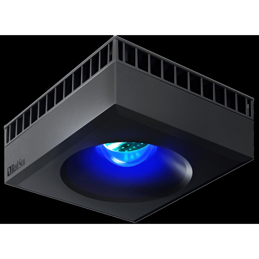 レッドシー 【全国送料無料】 リーフLED50 本体 お取り寄せ中 : レヨン