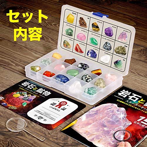 XXTOYS 鉱物標本 コレクションセット 岩石標本 宝石 : ラクラクストア