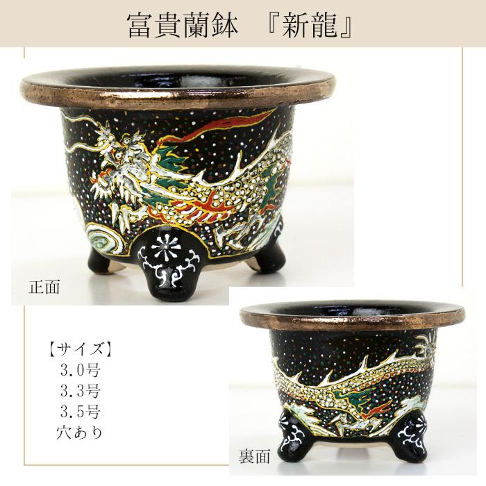 ◇京楽焼窯元「愛楽園」直送◇『富貴蘭鉢 虎・新龍・鳳凰』 3.0号 3.3