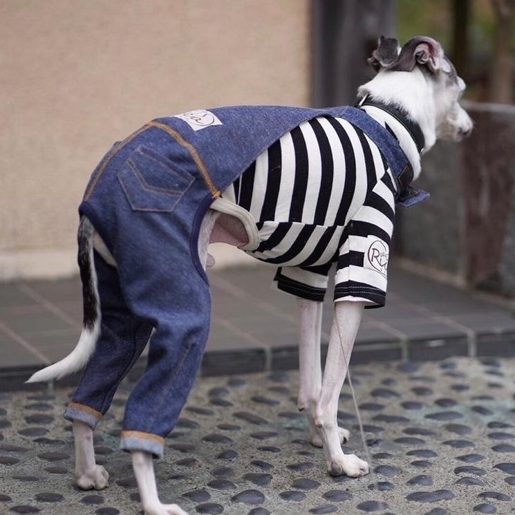 ストレッチデニムサロペット （イタリアングレイハウンド イタグレ