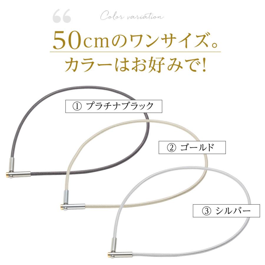 Phiten（ファイテン） 送料無料 ギフト 肩こりに RAKUWA磁気チタン