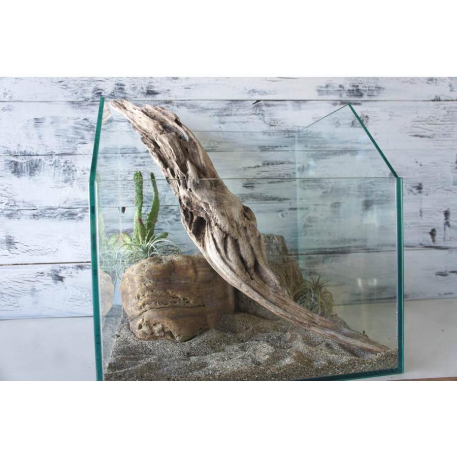 流木 爬虫類 登り木 あく抜き処理 煮沸消毒済 トカゲ ヤモリ ケージ