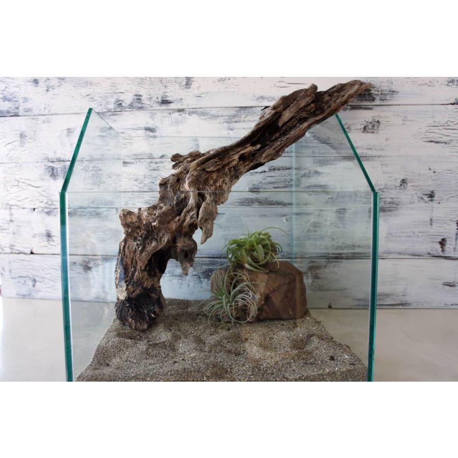 流木 爬虫類 登り木 あく抜き処理 煮沸消毒済 トカゲ ヤモリ ケージ