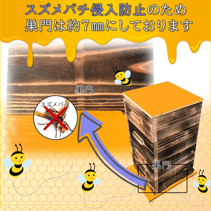 日本蜜蜂重箱式巣箱ハニーズミニ！4段ニセット！ 日本蜜蜂重箱式巣箱