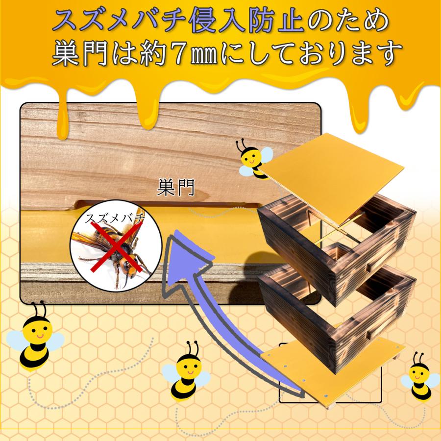 日本蜜蜂 巣箱 待ち箱 入居実績あり 2 個セット 待ち箱(2段重箱式巣箱