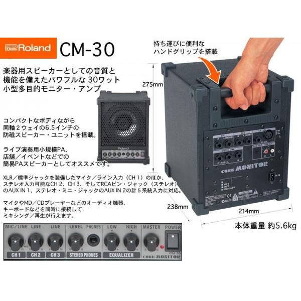 Roland CM-30 Cube Monitor 2個セット Roland CM-30 Cube Monitor