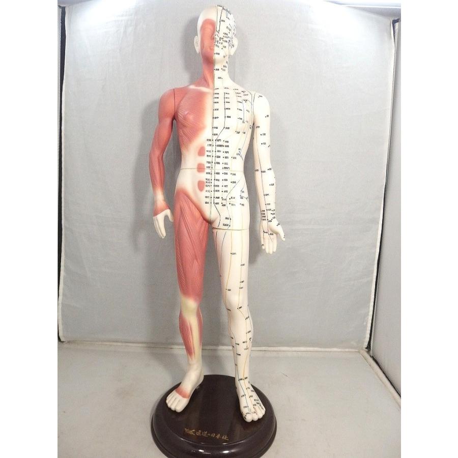 医道の日本社 経絡経穴人形 人体模型 : ワットマン Yahoo!ショッピング