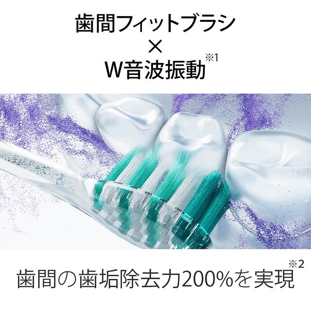 Doltz ドルツプレミアム W音波振動ハブラシ 電動歯ブラシ panasonic