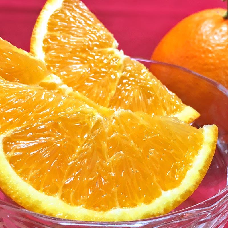 国産ネーブルオレンジ 約5kg 2〜4Lサイズ 和歌山県産 贈答規格 甘い