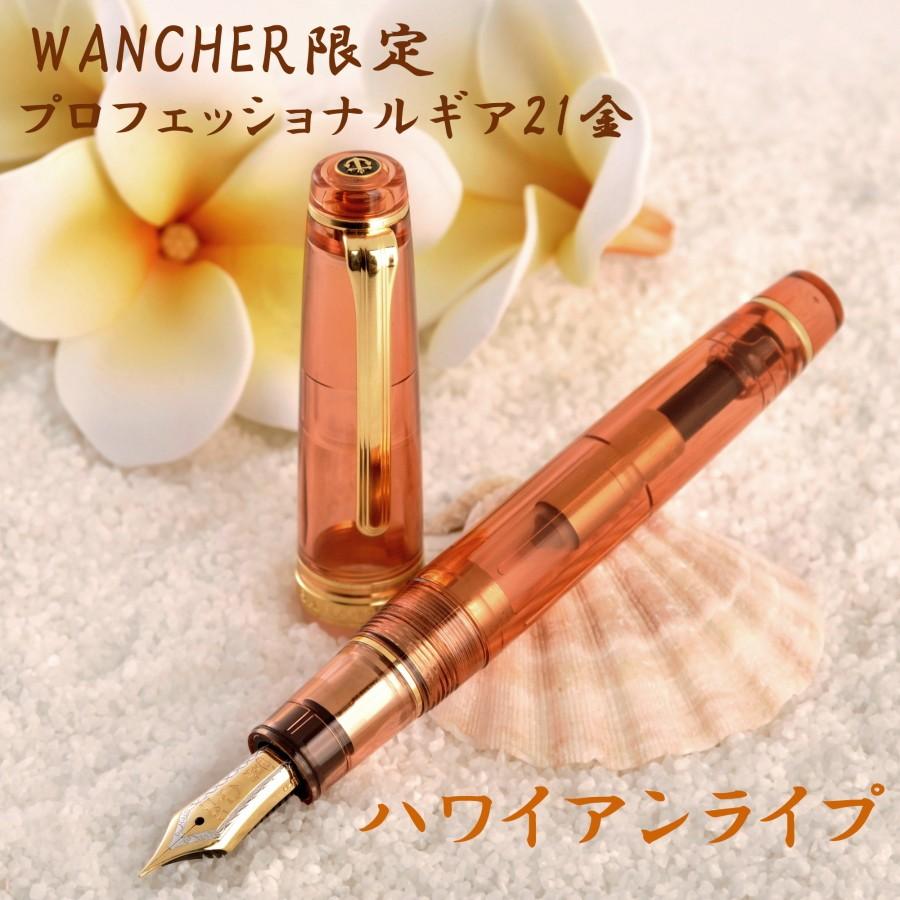 セーラー万年筆 WANCHER × SAILOR プロフェッショナルギア 21金