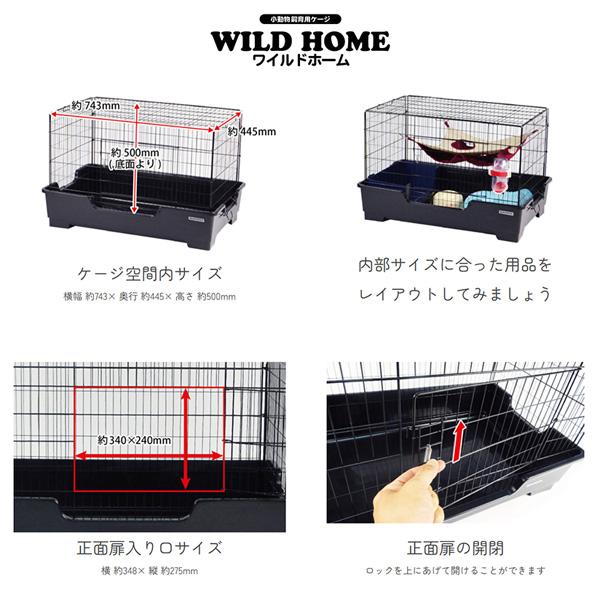 SANKO ワイルドホーム フェレット SANKO ワイルドホーム フェレット