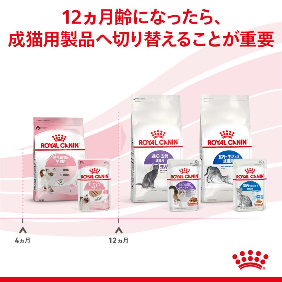 新品未開封 ロイヤルカナン ヘアー＆スキン ケア ウェットフード 45袋