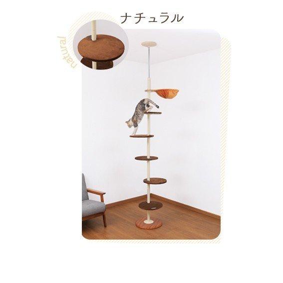 ボンビアルコン キャットタワー 木製 突っ張り 猫 タワー 猫タワー 省