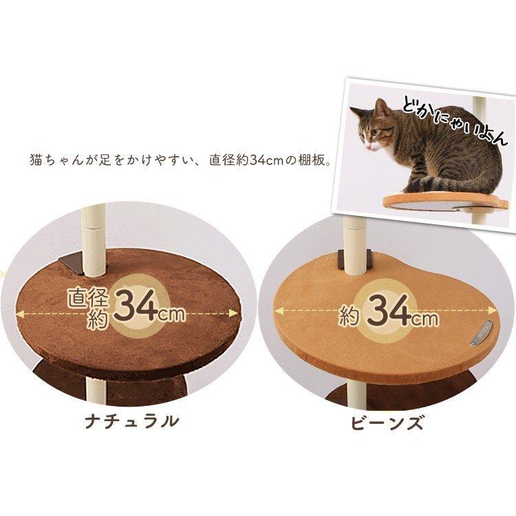 ボンビアルコン キャットタワー 木製 突っ張り 猫 タワー 猫タワー 省