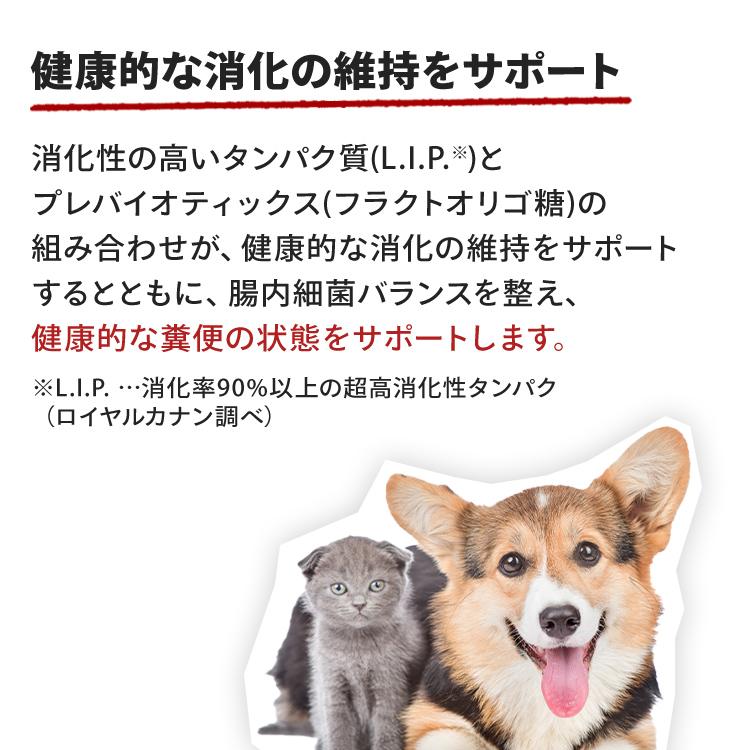 ロイヤルカナン（ROYAL CANIN） 犬 柴犬 子犬用 3kg×2 ドッグフード