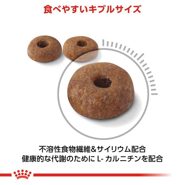 ロイヤルカナン（ROYAL CANIN） 猫用 ライト ウェイト ケア 8kg 室内猫