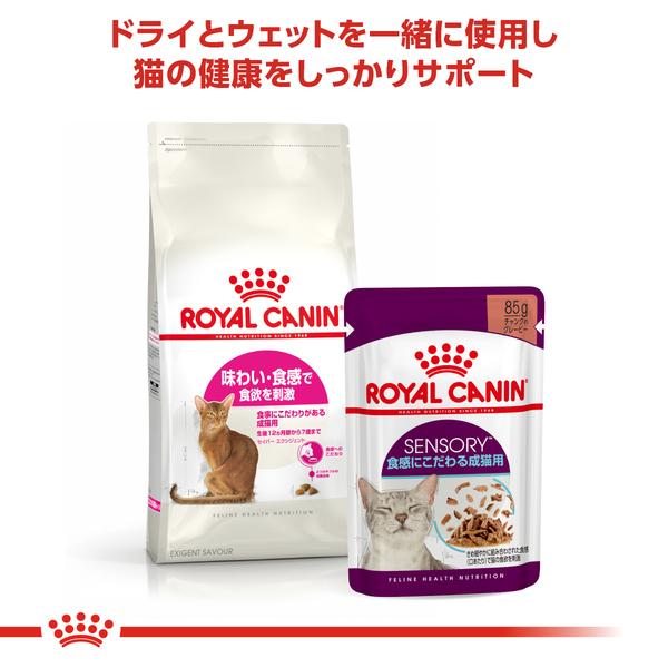 ロイヤルカナン（ROYAL CANIN） 猫用 セイバー エクシジェント 10kg