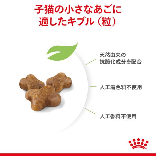 ロイヤルカナン（ROYAL CANIN） 猫用 キトン 10kg 子猫用