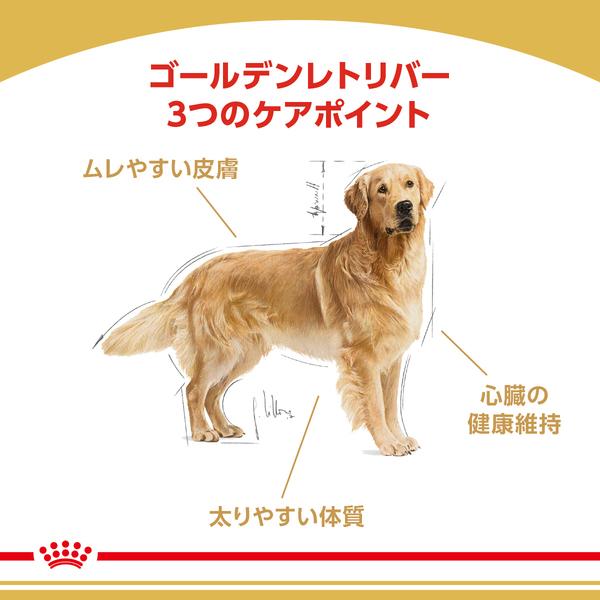 ロイヤルカナン（ROYAL CANIN） 犬 ゴールデンレトリバー 成犬・高齢犬