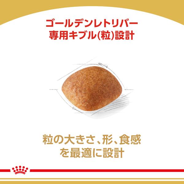 ロイヤルカナン（ROYAL CANIN） 犬 ゴールデンレトリバー 成犬・高齢犬
