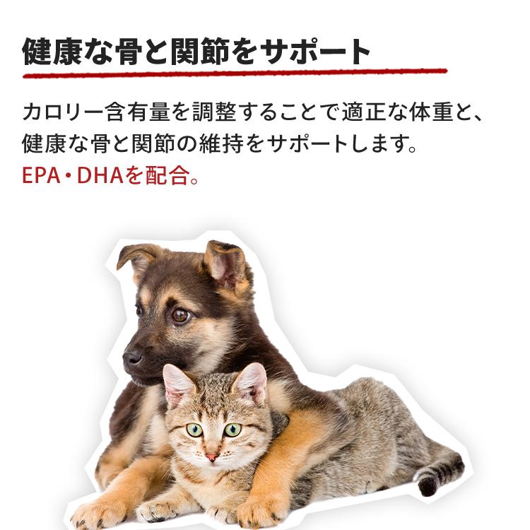 ロイヤルカナン（ROYAL CANIN） 犬 ラブラドールレトリバー