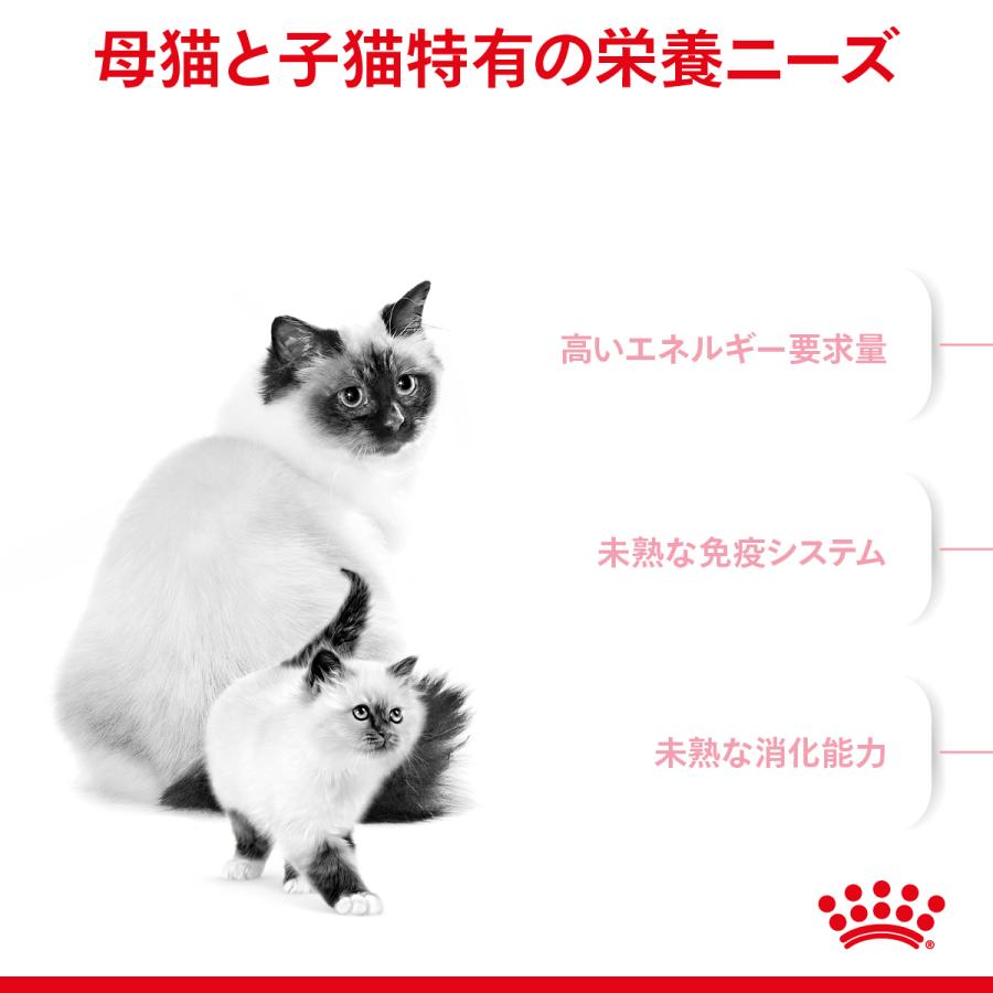 ロイヤルカナン（ROYAL CANIN） マザー＆ベビーキャット 4kg 2個セット