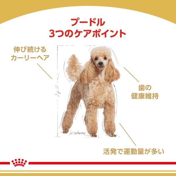 ロイヤルカナン（ROYAL CANIN） 犬 プードル 成犬用 3kg ドッグフード