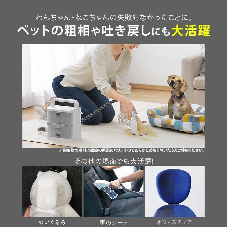 IRIS OHYAMA（アイリスオーヤマ） クリーナー リンサークリーナー