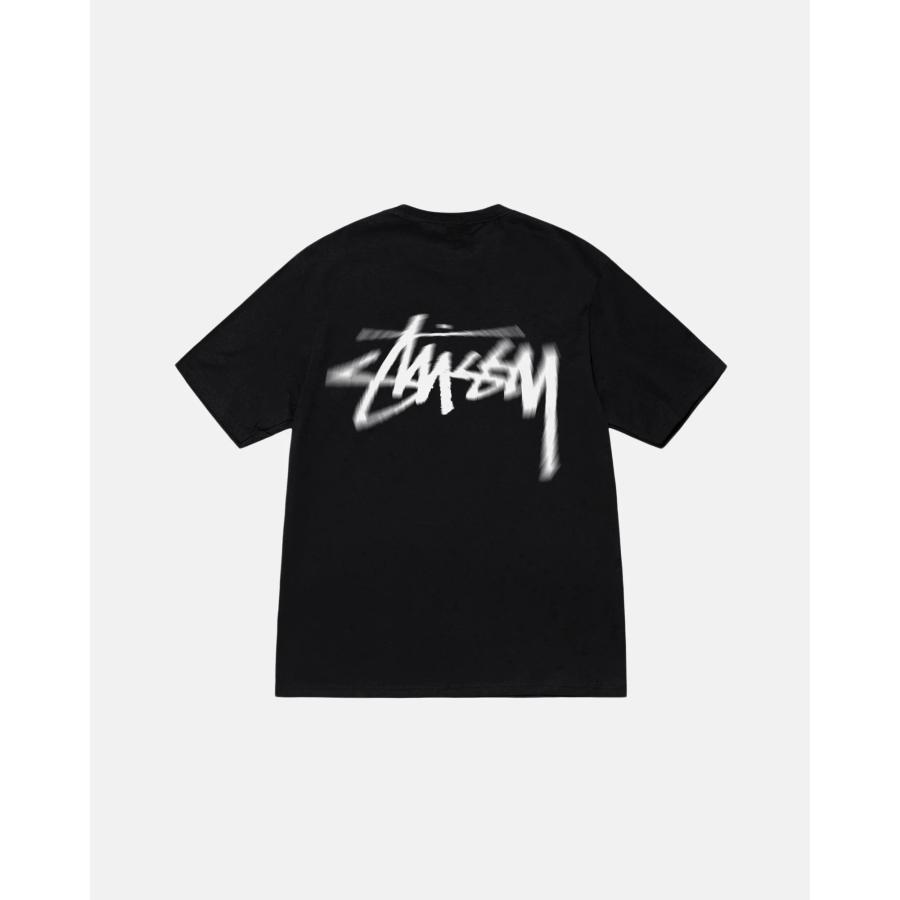 STUSSY（ステューシー） DIZZY STOCK TEE 1904932 Tシャツ 半袖 並行