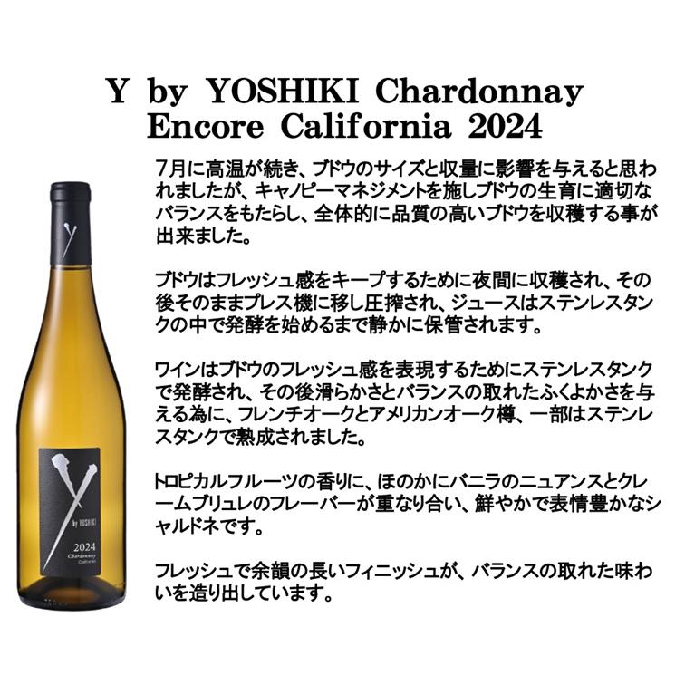 Y by YOSHIKI（ワイ・バイ・ヨシキ） (2025年9月24日発売 最新 Y by