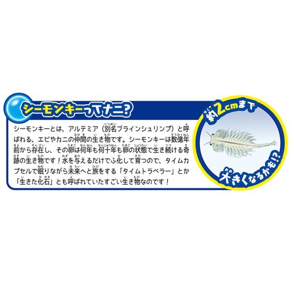 海の動物園！ シーモンキーズ ブルーセット : トイショップまのあ