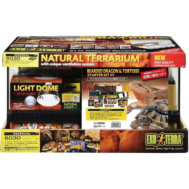 GEX EXOTERRA フトアゴヒゲトカゲ&リクガメ飼育キット 爬虫類用ガラス