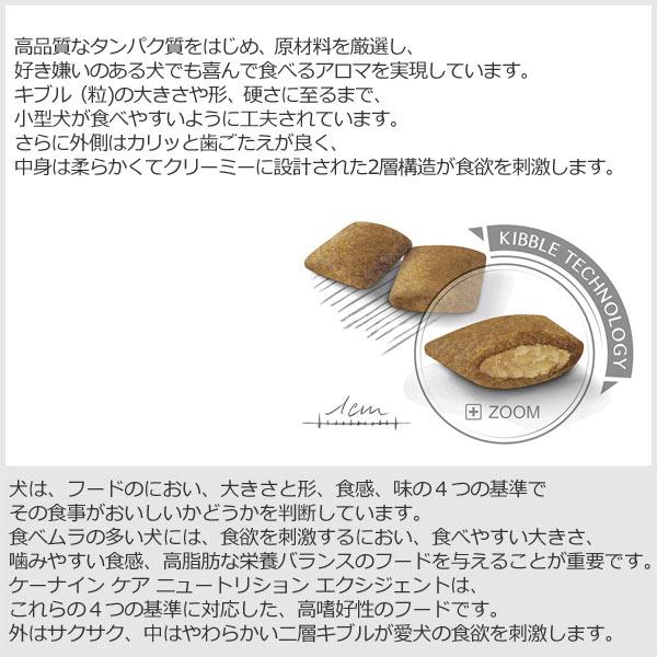 ロイヤルカナン（ROYAL CANIN） 正規品 犬ドライ ミニ エクシジェント