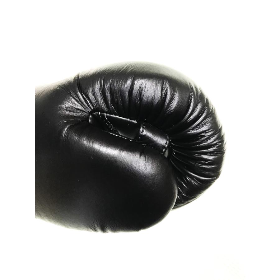 ツインズ Twins ボクシンググローブ 16oz 本革製 送料無料 サミング