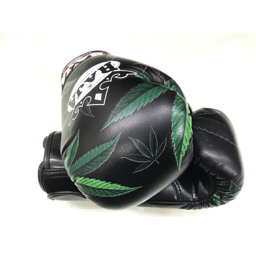 RAJA ボクシンググローブ 10oz ラジャ GLASS マジックテープ式