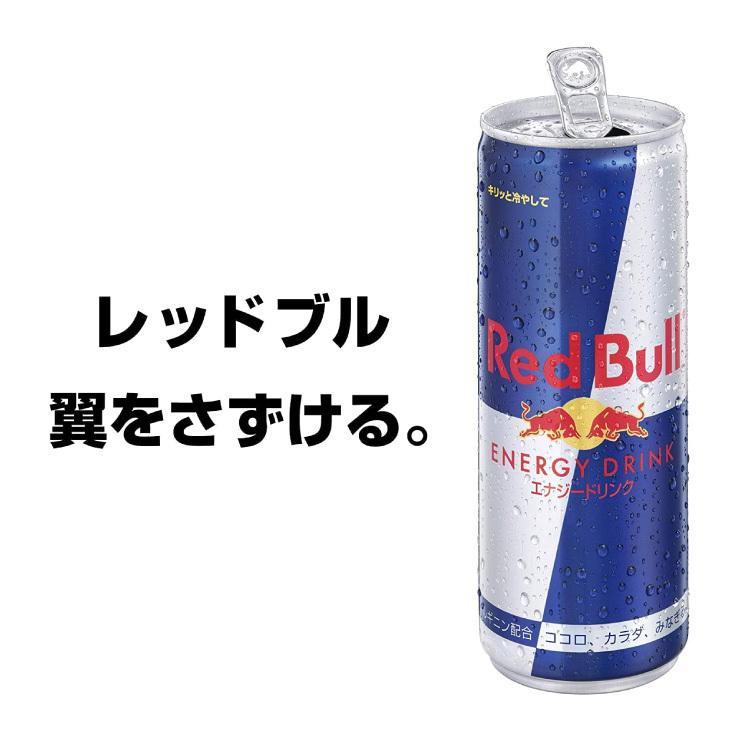 レッドブル（RedBull） エナジードリンク 缶 250ml 24本 1ケース