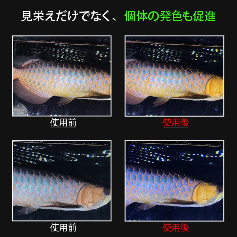 S*5様 マイン 青金ライト 1500用 S*5様 マイン 青金ライト 1500用 S*5