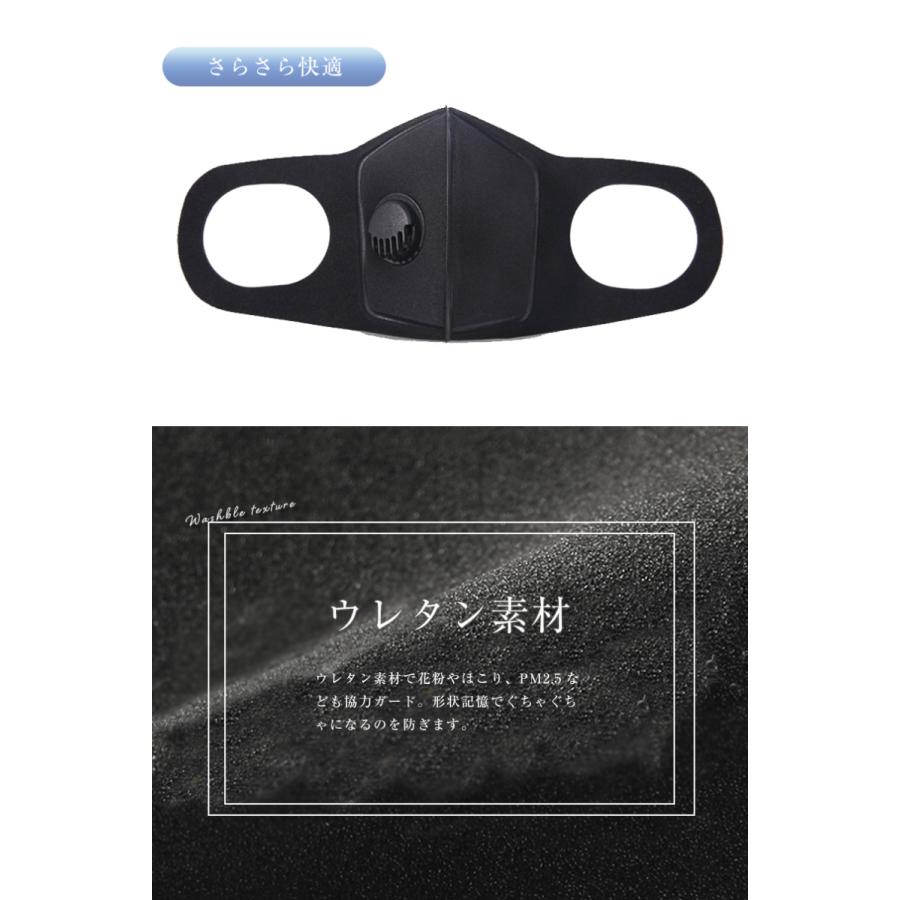 マスク 換気口付き 洗える 2枚セット 埃防止フィルター付き 業務