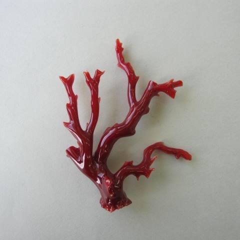 高知産血赤珊瑚の枝パーツ /手作り/天然/『宝石サンゴ』 : 珊瑚職人館