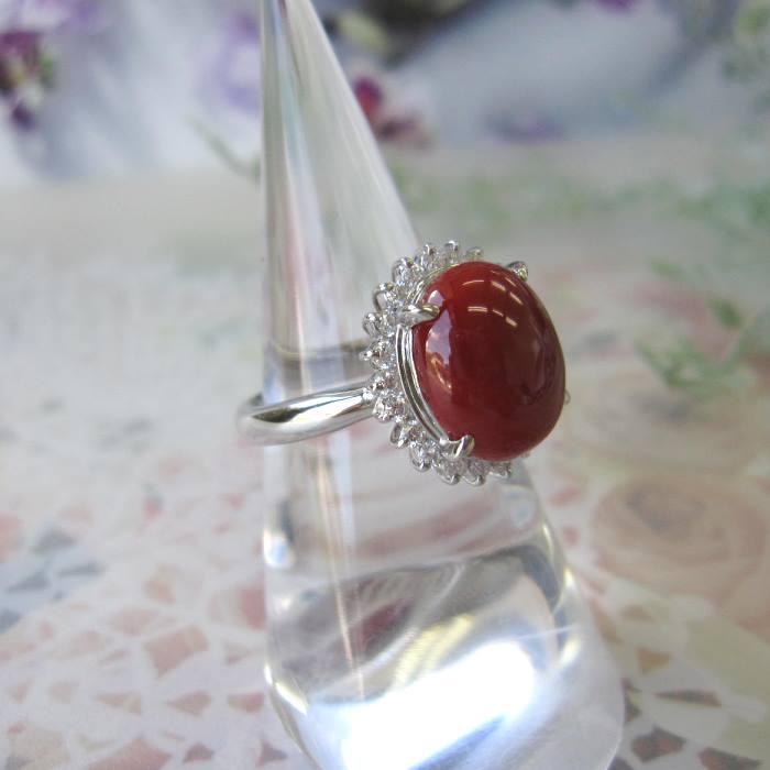 日本 高知産血赤珊瑚 豪華 プラチナデザインリング （12.1×10ミリ