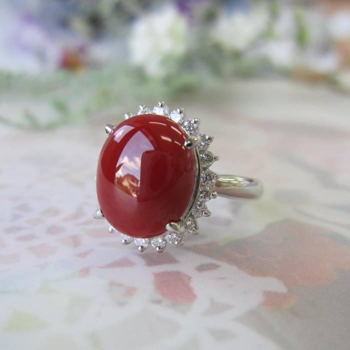 日本 高知産血赤珊瑚 豪華 プラチナデザインリング （12.1×10ミリ