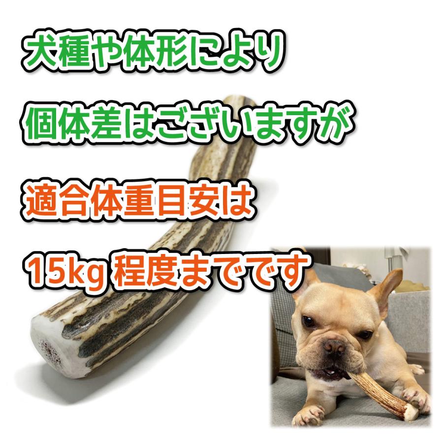 鹿の角 中型 犬 用 鹿角さん 割っていないタイプ2本セット 天然 無