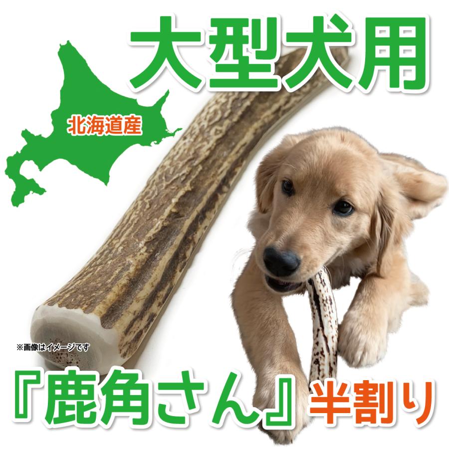 鹿の角 大型 犬 用 鹿角さん 半割り 約20cm 1本 天然 無添加 北海道産