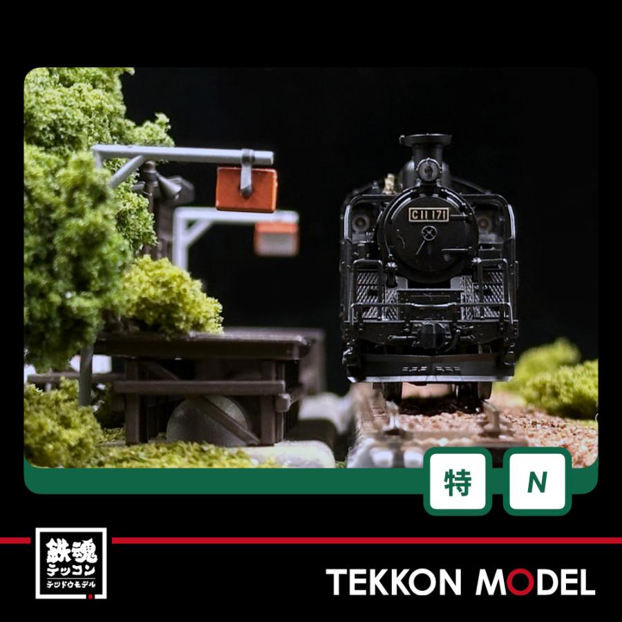 カトー（KATO） Nゲージ KATO 10-1958 C11 171+14系「SL冬の湿原号」 6