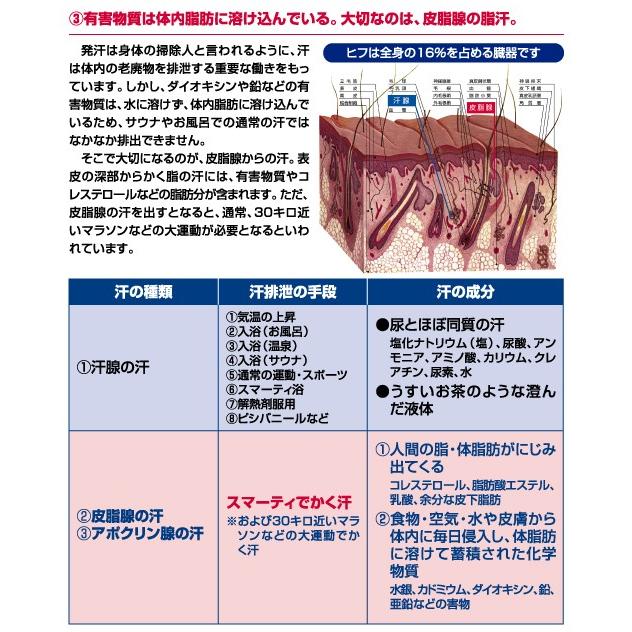 フジカ スマーティ F4-NX型 遠赤外線ドーム型サウナ F4-NX用