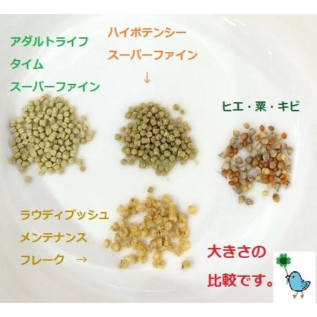 アダルトライフタイム スーパーファイン 極小粒 454g ハリソンバード