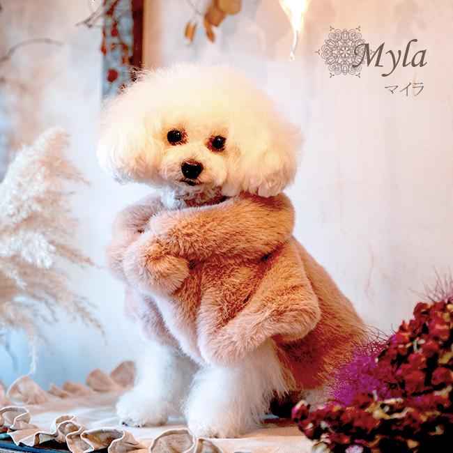 グラマーイズム Glamourism マイラ Myla 犬服 小型犬 ウエア セレブ