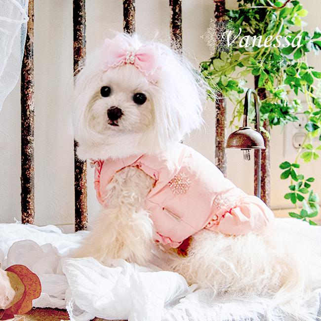 グラマーイズム Glamourism ヴァネッサ Vanessa 犬服 小型犬 ウエア