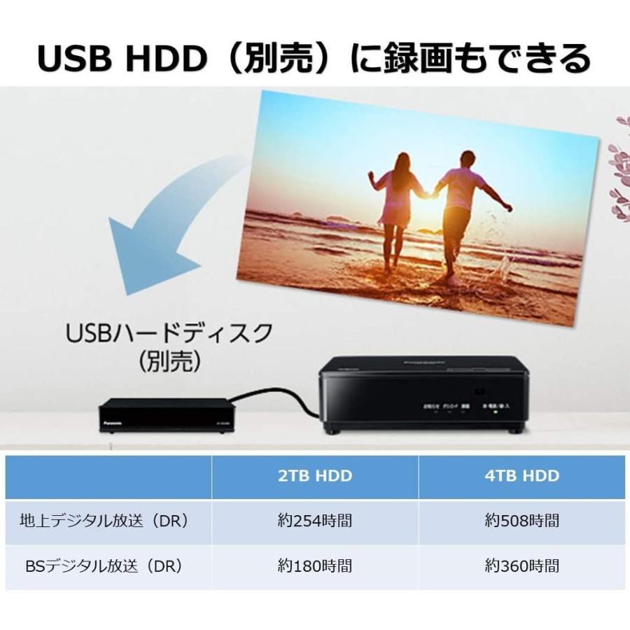 Panasonic（パナソニック） 19V型 ポータブル 液晶テレビ