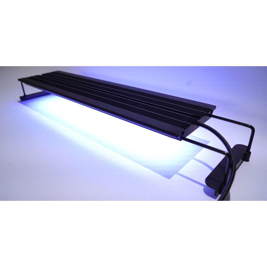 ボルクスジャパン グラッシーレグナ マリン 45 北海道・沖縄・離島